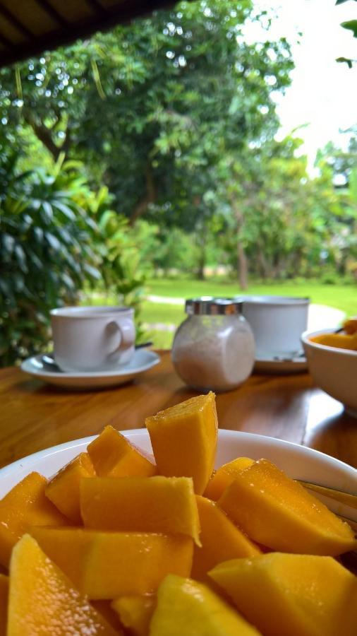 Mango Tree Inn Пемутеран Екстер'єр фото