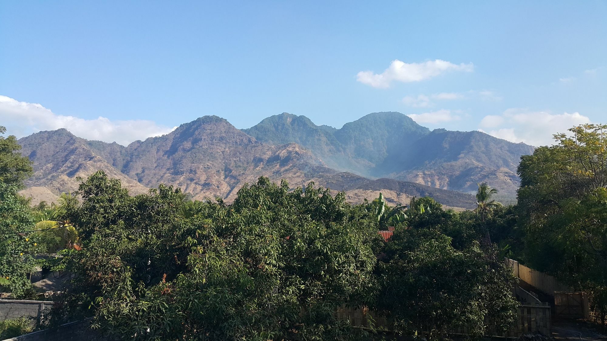 Mango Tree Inn Пемутеран Екстер'єр фото